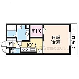 テレザート光台