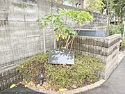 植栽