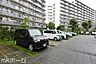 駐車場：共用部 駐車場