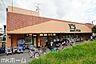 周辺：ワイズディスカ飯山満店 徒歩1分。 260m