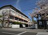 周辺：桜丘中学校…徒歩12分(約920m)