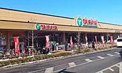 エコスTAIRAYA武蔵境店 241m