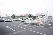 とりせん羽川店 1127m
