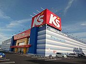 ケーズデンキ小山店 477m