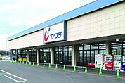 カワチ薬品間々田店 265m