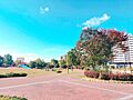 箱崎公園　約6...