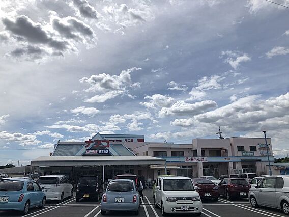 ナフコ桃花台店...