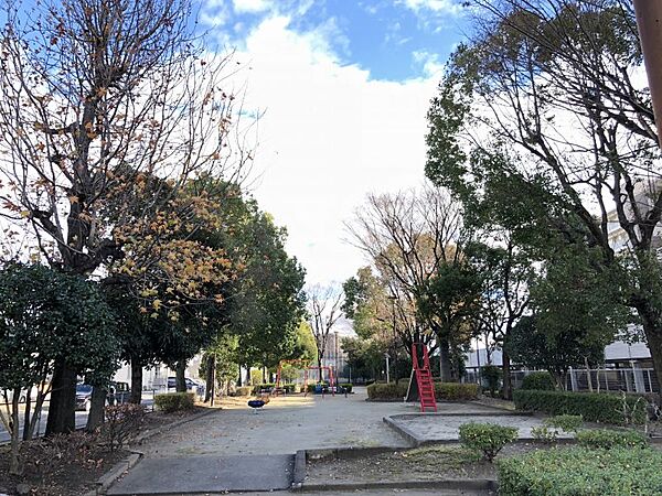 周辺を拡大表示