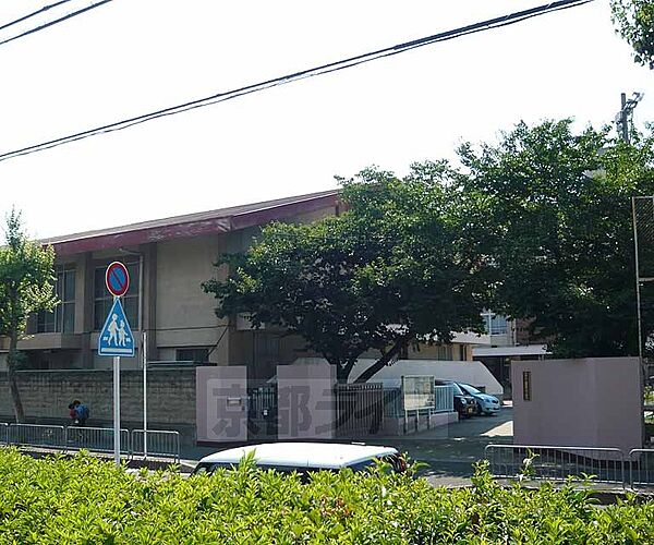 画像30:向島藤の木小学校まで75m 活気溢れる小学校です。