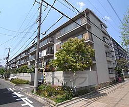 京都府京都市南区西九条島町（賃貸マンション3LDK・1階・64.42㎡） その1