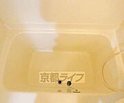 バスです。