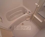 追いだいて下さい
