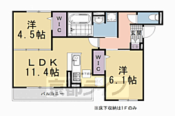 スペチアーレくいな橋 1階/-
