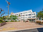 江戸川区立二之江第二小学校（480m）