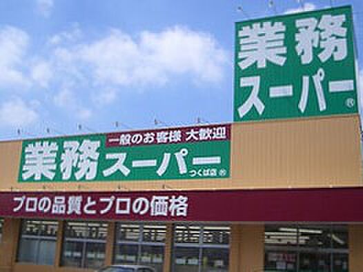 画像23:【スーパー】業務スーパー 徳島店まで2025ｍ