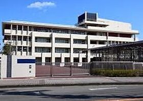 ＰＡＬＡＳＴ 101 ｜ 徳島県板野郡藍住町矢上字原263-236（賃貸アパート1R・1階・29.44㎡） その17