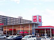 ベルク佐倉志津店390m徒歩5分
