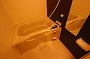 同物件、別号室のものです。