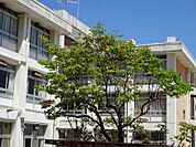 広島市立長束中学校
