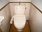 ｖ