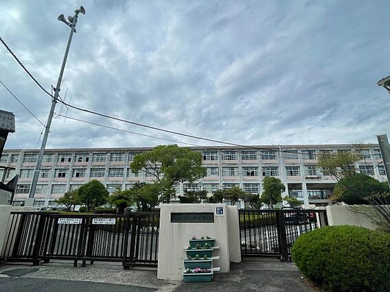 リシェス柳ヶ丘_周辺_1