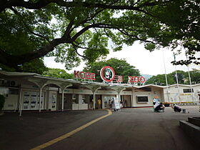 ラムール王子公園 207 ｜ 兵庫県神戸市灘区倉石通5丁目（賃貸マンション1DK・2階・24.00㎡） その25