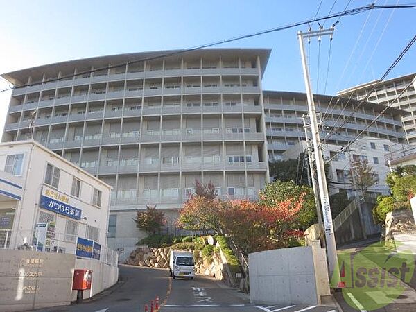 画像29:神戸海星病院 1907m