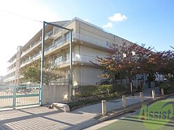 神戸市立灘小学校 401m