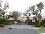 芦屋市立潮見小学校 167m