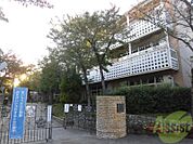 芦屋市立宮川小学校 249m