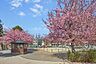 周辺：豊島区立染井よしの桜の里公園 550m