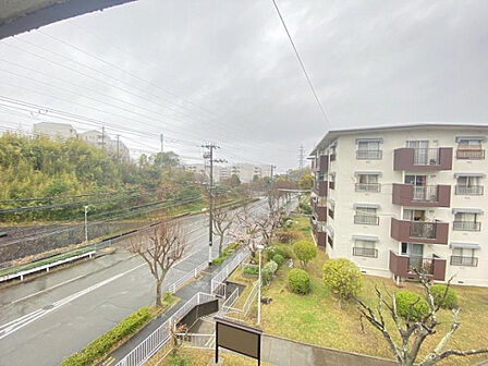 現地からの眺望