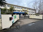 北九州市立城野小学校（279m）