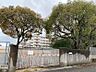 周辺：北九州市立洞北中学校（517m）