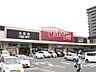 周辺：ハローデイ共立大前店（796m）