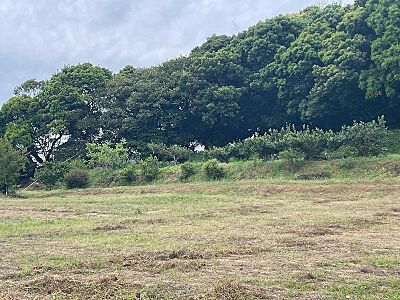 外観:※手前側の原野は対象外の土地になります。 外観:※手前側の原野は対象外の土地になります。