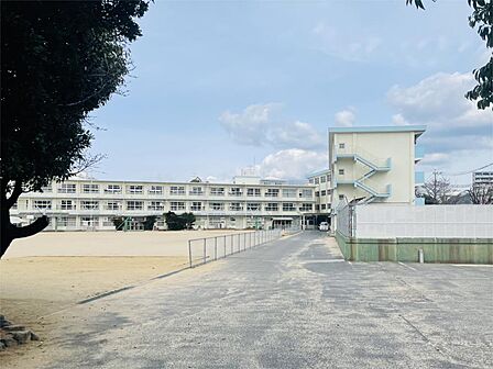 北九州市立三郎丸小学校(734m)