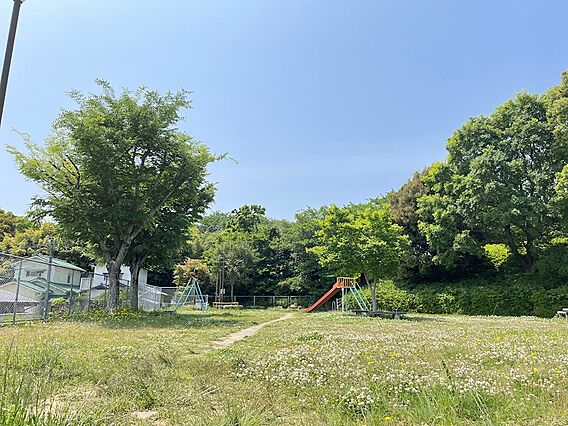 中の谷公園（1...