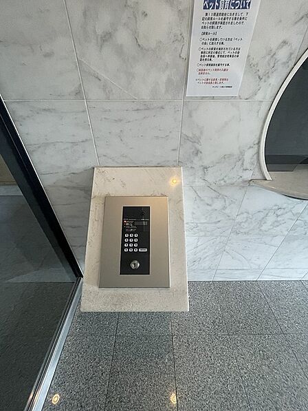 大理石調の壁がエレベーターホールを上質な空間に演出。モニター付きインターホンと防犯カメラでセキュリティ面にも配慮されています。