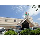 マルショク 富野店（858m）