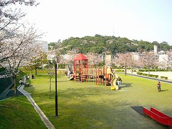 中央緑地（62...