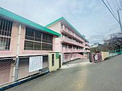 北九州市立桜丘小学校（594m）