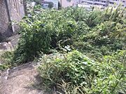駐車場は堀車庫ですので雨風しのげてお車を大事にされてる方にはうれしいですね。