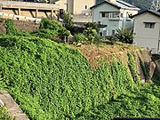 ひな壇の上段は308m2、下段は325.98m2です