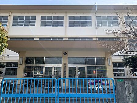 北九州市立曽根小学校(499m)