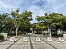 周辺：貫中央公園（988m）