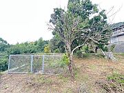 建築条件ありません