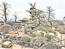 その他：10坪以上の南向きの広いお庭です