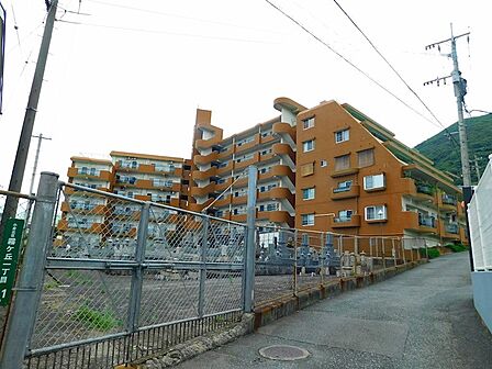 小型犬の飼育相談可能です