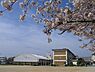 周辺：桜木小学校 980m